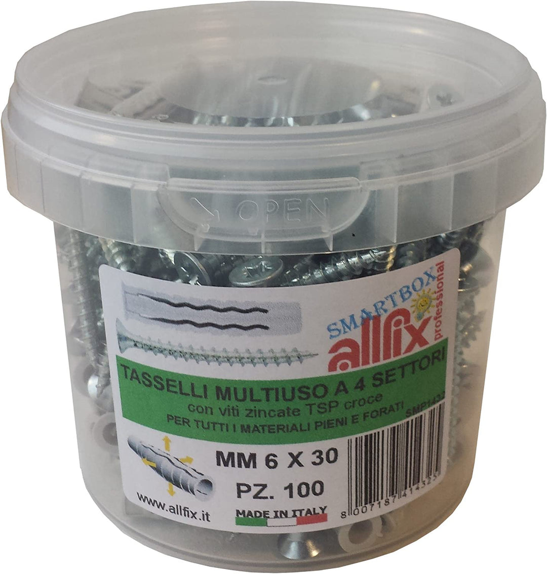 N. 6 BOX DA 100 VITI + 100 TASSELLI 6X30MM
