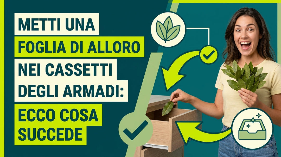 Metti una foglia di alloro nei cassetti degli armadi: Ecco cosa succede (Mai più senza!)