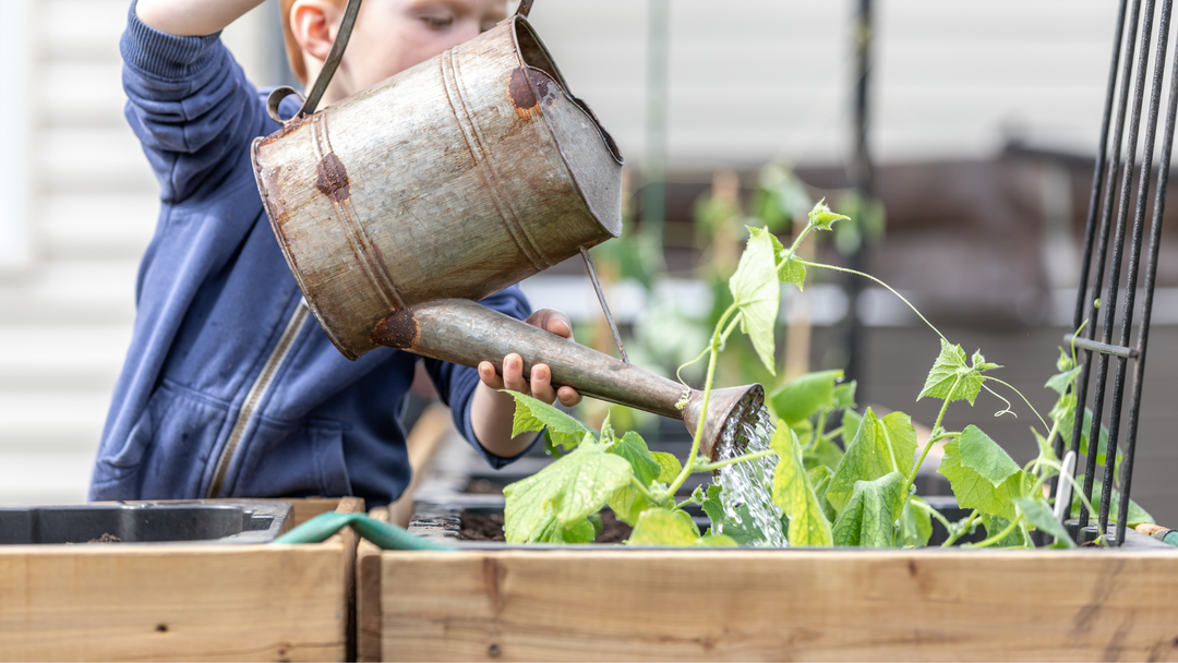 Il tuo primo orto in balcone: guida pratica per coltivare benessere in città