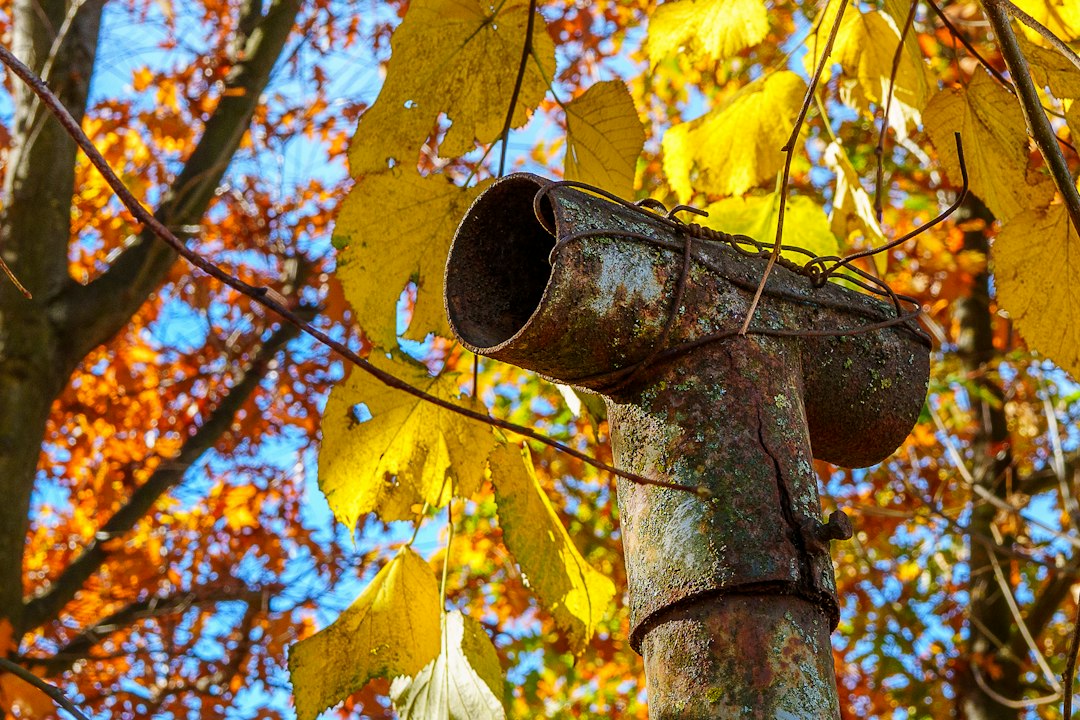 Rusty downspout with autumn leaves in background