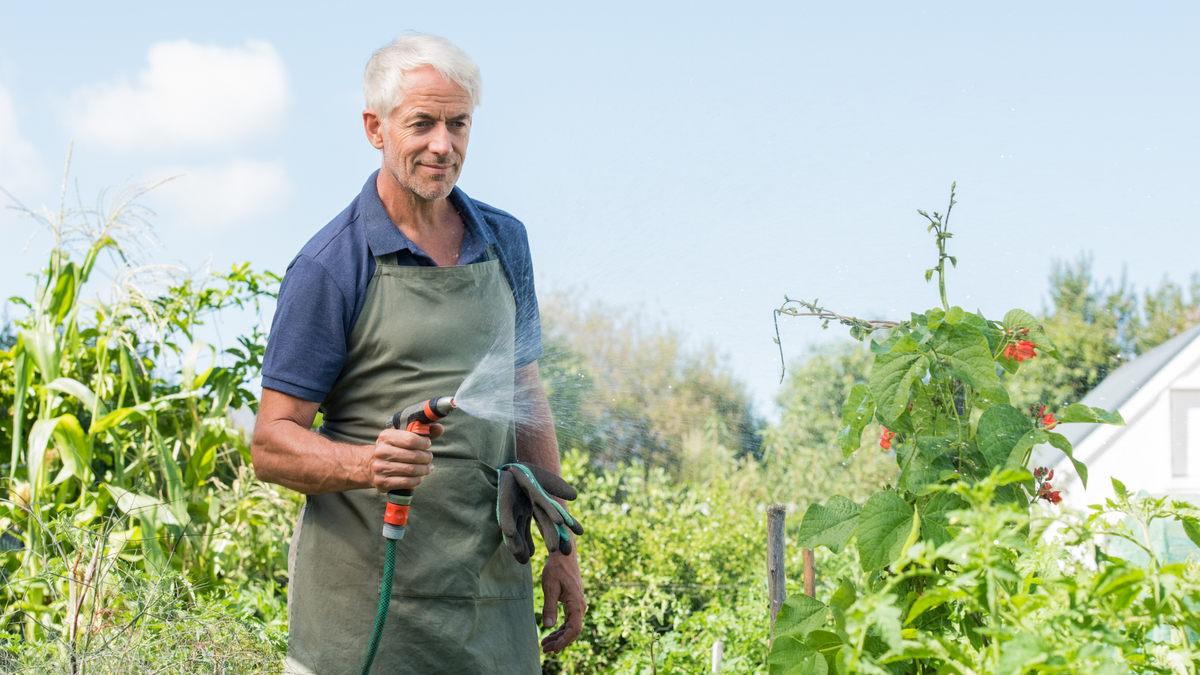 Pistole da irrigazione: l'alleato indispensabile per un giardino da sogno!