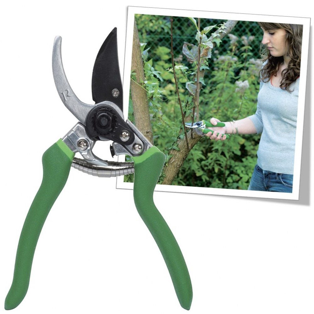 Forbice potatura giardinaggio Lama Acciaio 15mm falenashop.myshopify.com