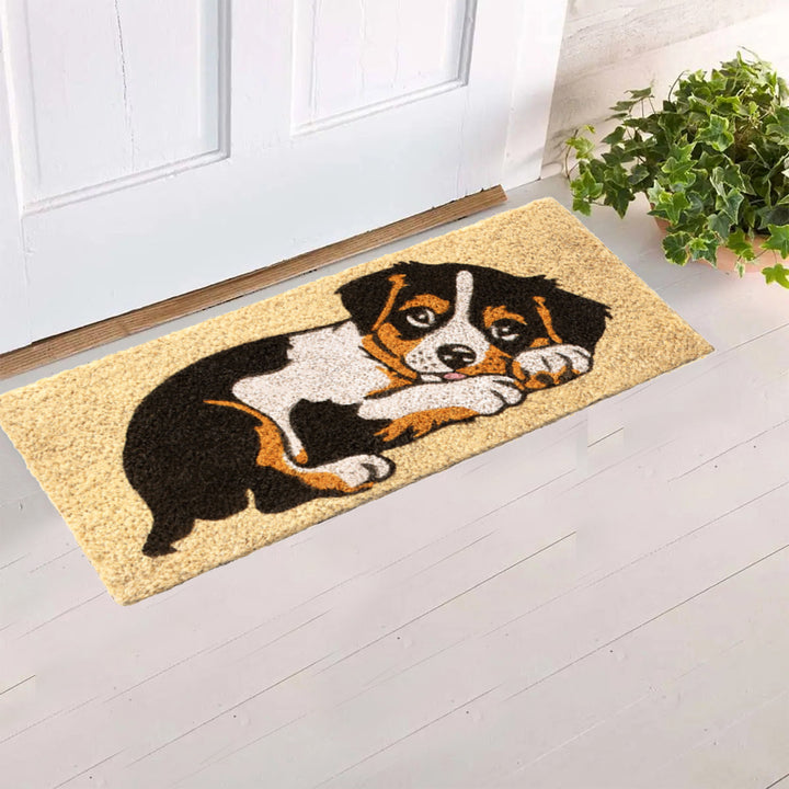 Zerbino Ingresso casa Divertente Simpatico cm 23X53 Tappeto Antiscivolo in Cocco