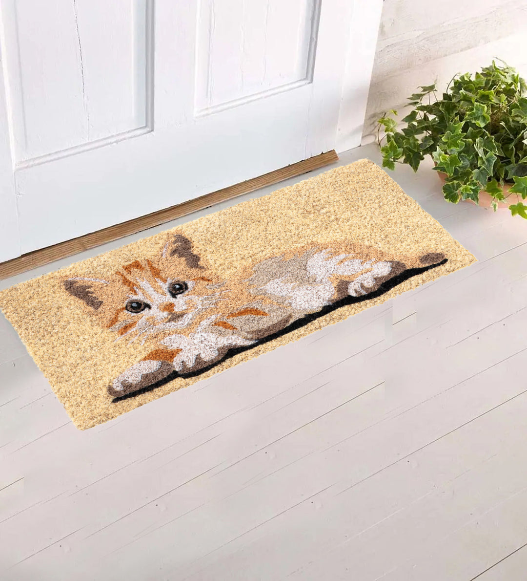 Zerbino Ingresso casa Divertente Simpatico cm 23X53 Tappeto Antiscivolo in Cocco