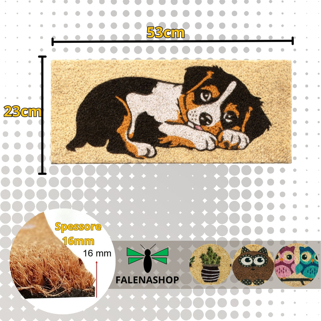 Zerbino Ingresso casa Divertente Simpatico cm 23X53 Tappeto Antiscivolo in Cocco