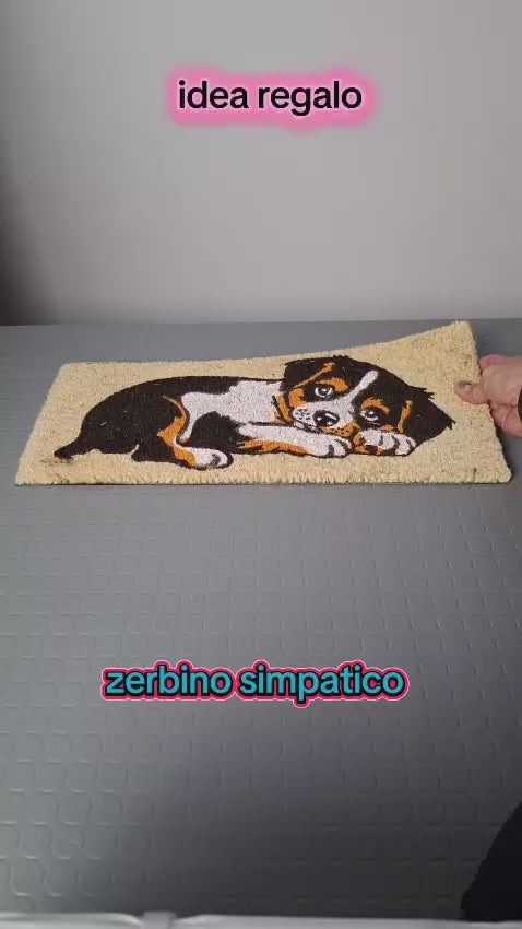 Zerbino Ingresso casa Divertente Simpatico cm 23X53 Tappeto Antiscivolo in Cocco